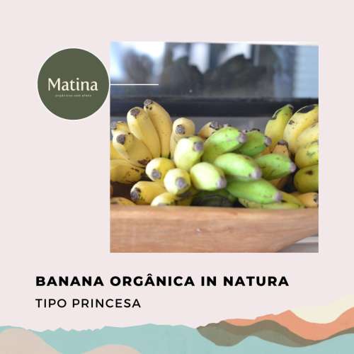 Banana madura tipo Princesa